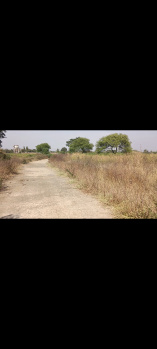 Agricultural Land for Sale in Mirzapur Taj, Bidar
