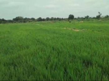  Residential Plot for Sale in Wave City Sector 5, Ghaziabad