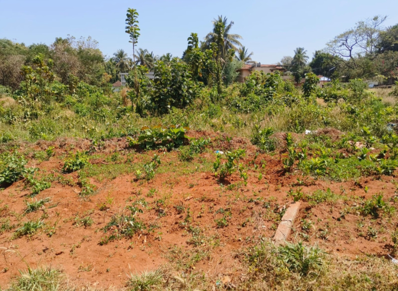  Residential Plot 10 Cent for Sale in Thiruvilwamala, Thrissur