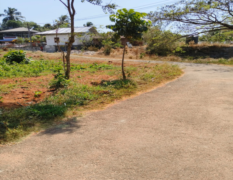  Residential Plot 10 Cent for Sale in Thiruvilwamala, Thrissur