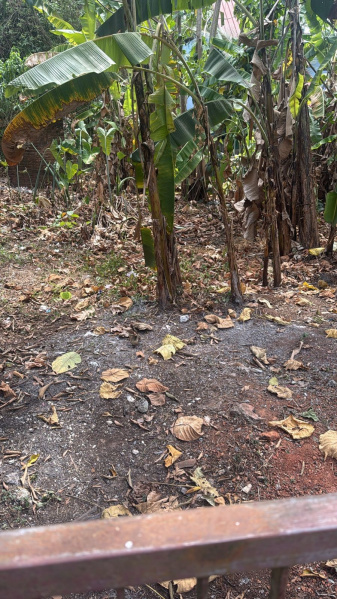  Residential Plot 7 Cent for Sale in Changanassery, Kottayam