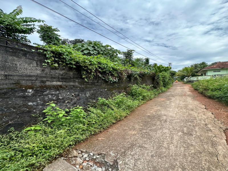  Residential Plot 20 Cent for Sale in Changanacherry, Kottayam