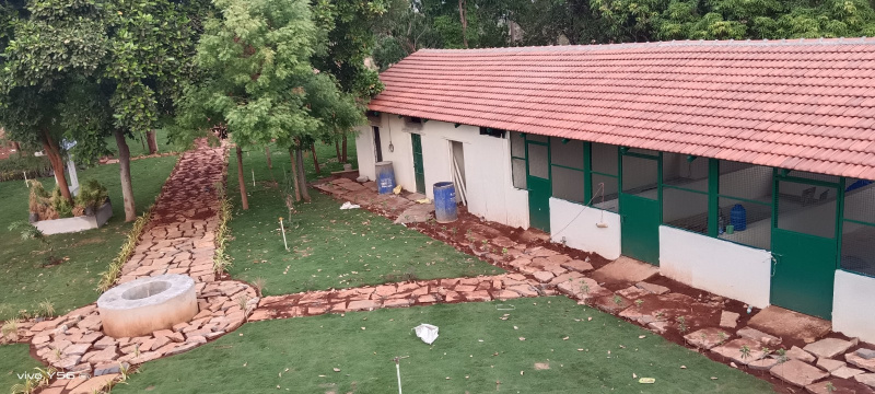  Agricultural Land 6534 Sq.ft. for Sale in Yelahanka, Bangalore