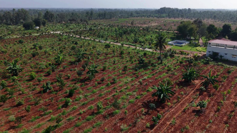  Residential Plot 6535 Sq.ft. for Sale in Rajankunte, Bangalore