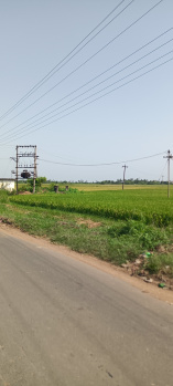  Agricultural Land for Sale in Walajabad, Kanchipuram