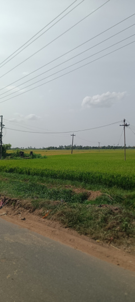  Agricultural Land 87 Cent for Sale in Walajabad, Kanchipuram