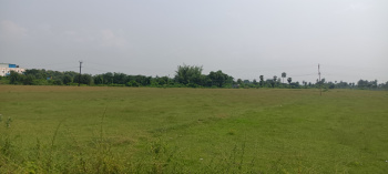  Agricultural Land for Sale in Walajabad, Kanchipuram