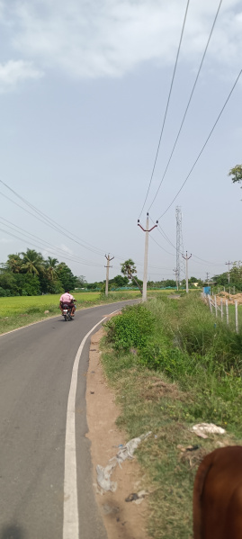  Agricultural Land 87 Cent for Sale in Walajabad, Kanchipuram