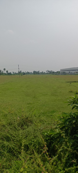  6 Acre Agricultural/Farm Land for Sale in Walajabad, Kanchipuram