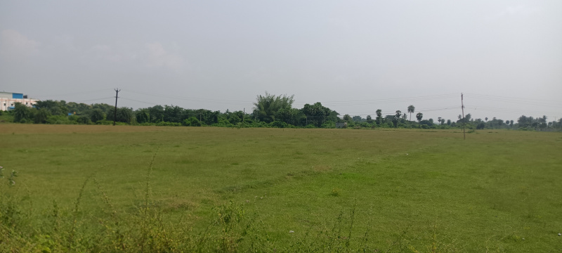  6 Acre Agricultural/Farm Land for Sale in Walajabad, Kanchipuram