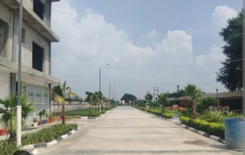  Residential Plot 1250 Sq.ft. for Sale in Katraj, Pune