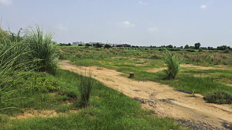  Industrial Land 6 Acre for Sale in Sector 33 Bahadurgarh