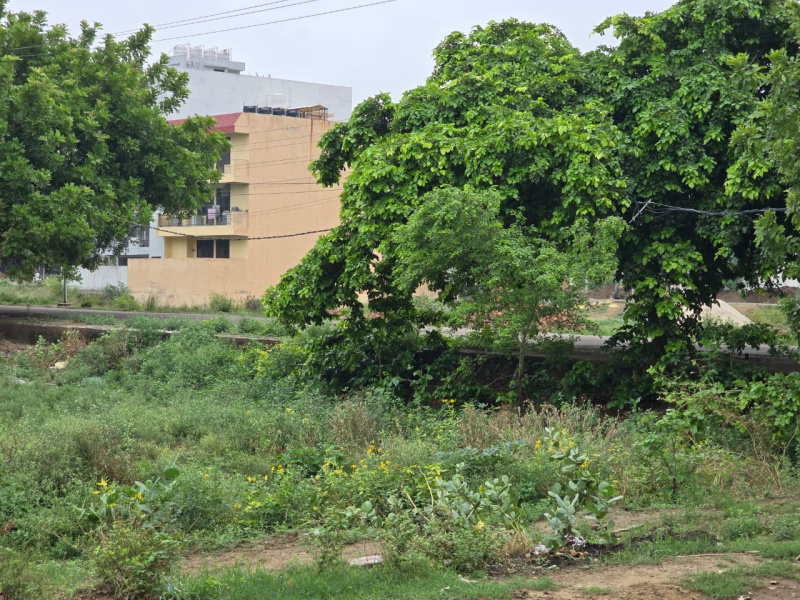 Residential Plot 252 Sq. Yards for Sale in Sector 9 Bahadurgarh
