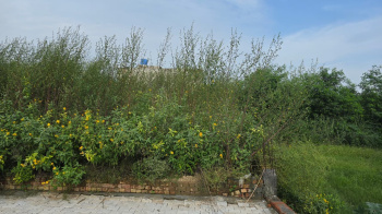  Residential Plot for Sale in Kharkhoda, Sonipat