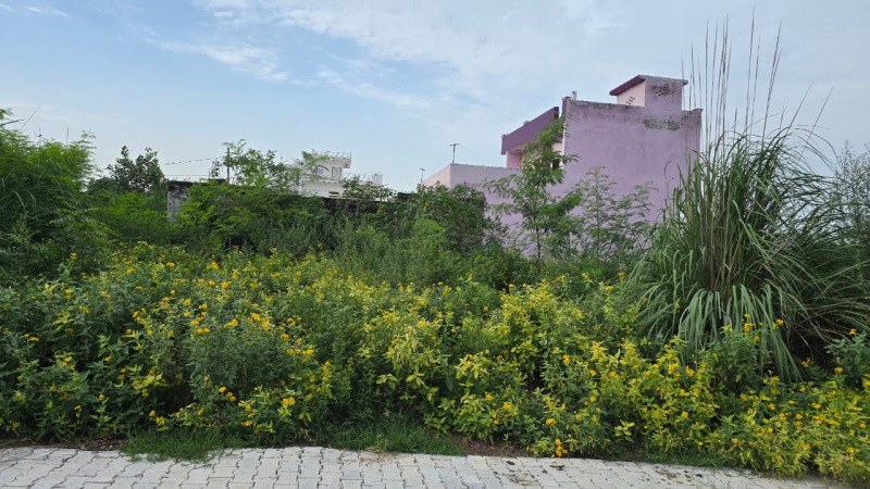  Residential Plot 200 Sq. Yards for Sale in Kharkhoda, Sonipat