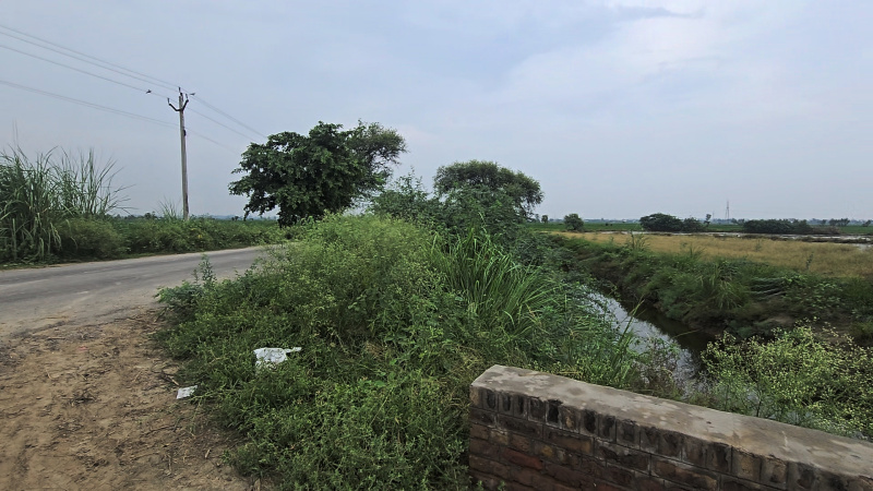  Agricultural Land 6 Ares for Sale in Beri, Jhajjar