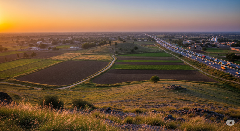  Agricultural Land 200 Acre for Sale in Ganaur, Sonipat
