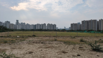  Commercial Land for Sale in Sector 103 Gurgaon