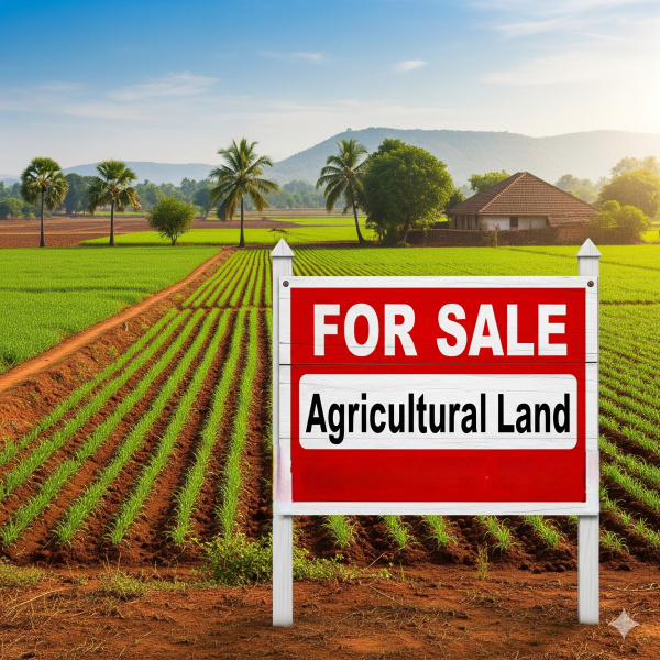  Agricultural Land 6 Acre for Sale in Kharar, Bahadurgarh
