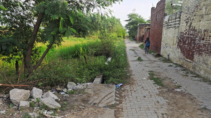  7 Acre Agricultural/Farm Land for Sale in Ismaila, Rohtak