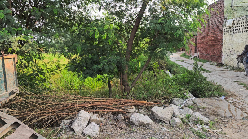  7 Acre Agricultural/Farm Land for Sale in Ismaila, Rohtak