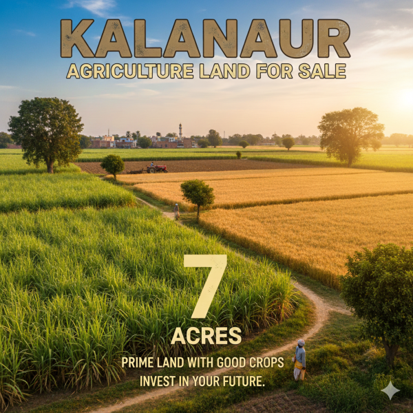  7 Ares Agricultural/Farm Land for Sale in Kalanaur Rohtak