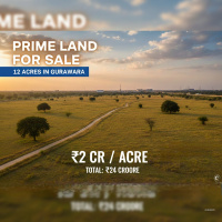  Agricultural Land for Sale in Beri, Jhajjar