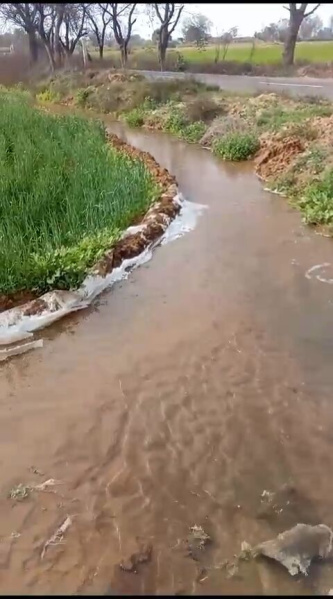  44 Acre Agricultural/Farm Land for Sale in Balsamand, Hisar