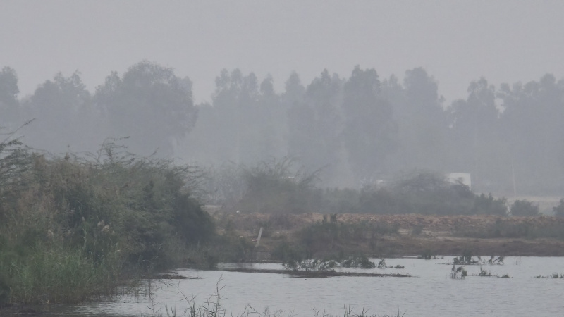  2151 Sq.ft. Industrial Land for Sale in Sector 33 Bahadurgarh