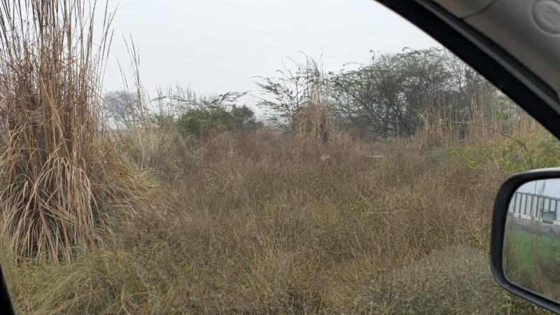  6340 Sq. Yards Industrial Land for Sale in Sector 33 Bahadurgarh