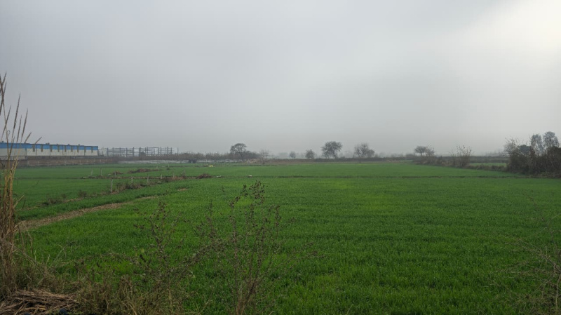  4 Acre Industrial Land for Sale in Sector 33 Bahadurgarh