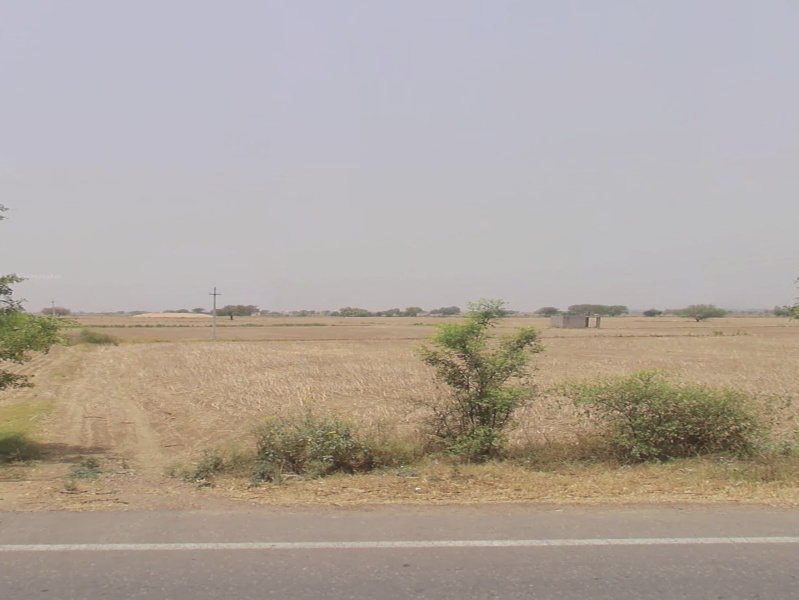  2 Acre Agricultural/Farm Land for Sale in Kasni, Jhajjar