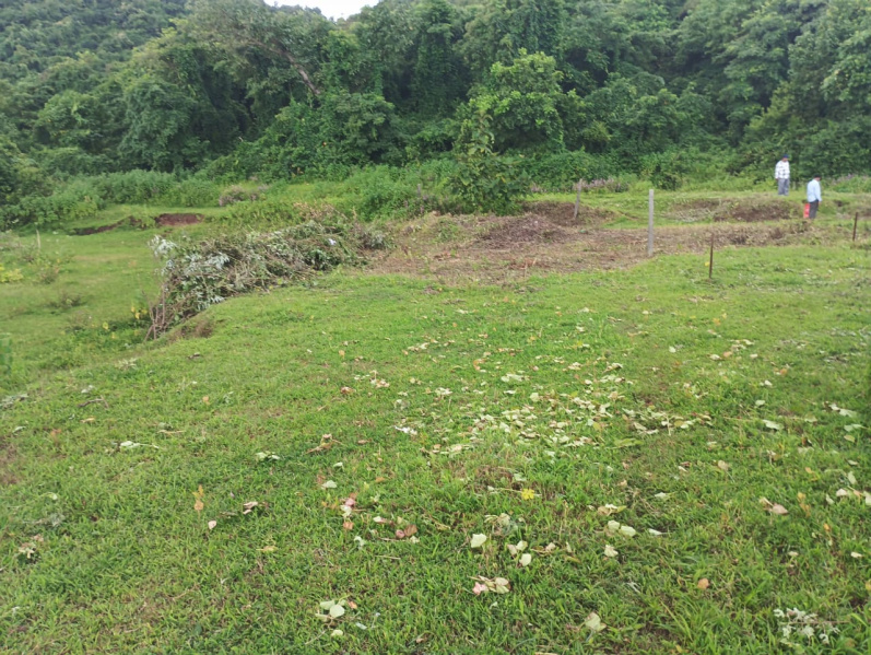  Residential Plot 2500 Sq.ft. for Sale in Murud, Raigad