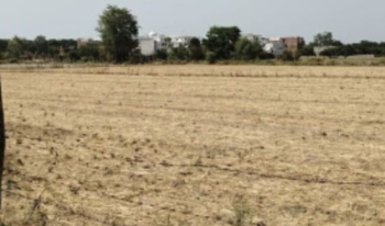  Agricultural Land for Sale in Bakshi Ka Talab, Lucknow