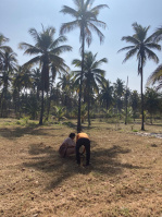  Agricultural Land for Sale in Arsikere, Hassan