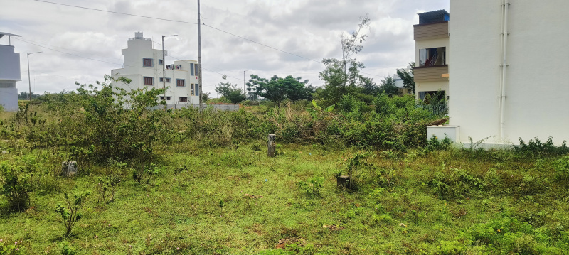  Residential Plot 600 Sq.ft. for Sale in Markuli, Hassan