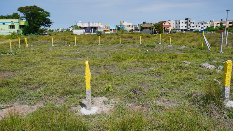  Residential Plot 556 Sq.ft. for Sale in Guduvancheri, Chennai