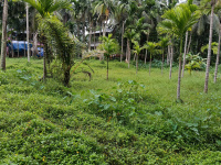  Agricultural Land for Sale in Nilambur, Malappuram