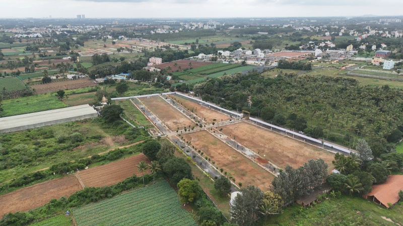  Commercial Land 1200 Sq.ft. for Sale in Anekal, Bangalore