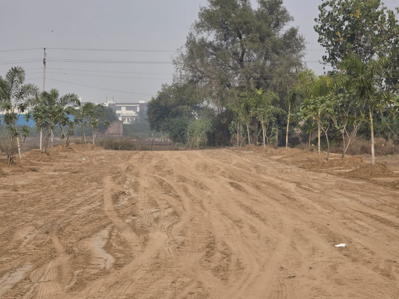  100 Sq. Yards Residential Plot for Sale in Kaimri Road, Hisar