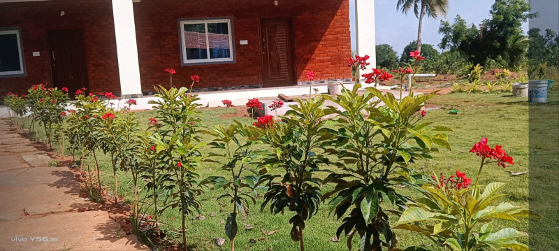  Agricultural Land 6534 Sq.ft. for Sale in Kengeri, Bangalore
