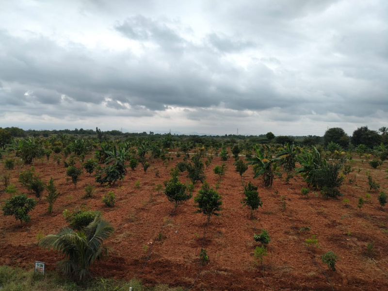  Agricultural Land 6534 Sq.ft. for Sale in Kengeri, Bangalore