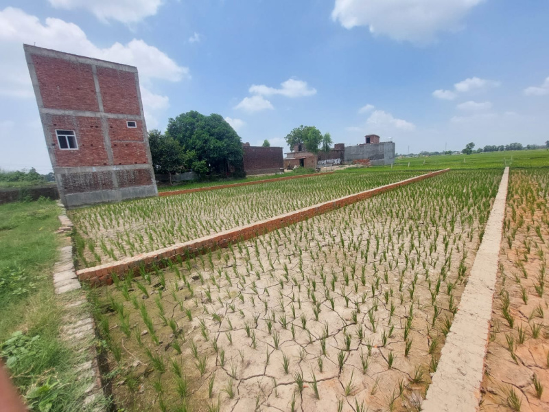  Residential Plot 1000 Sq.ft. for Sale in Kusumhi Bazar, Gorakhpur