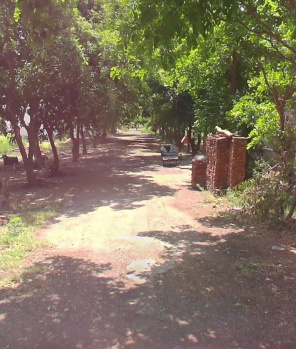  Residential Plot for Sale in New Moradabad