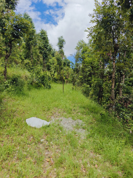  Residential Plot for Sale in Simtola, Almora
