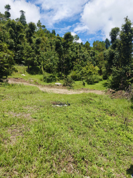  Residential Plot for Sale in Ranikhet, Almora
