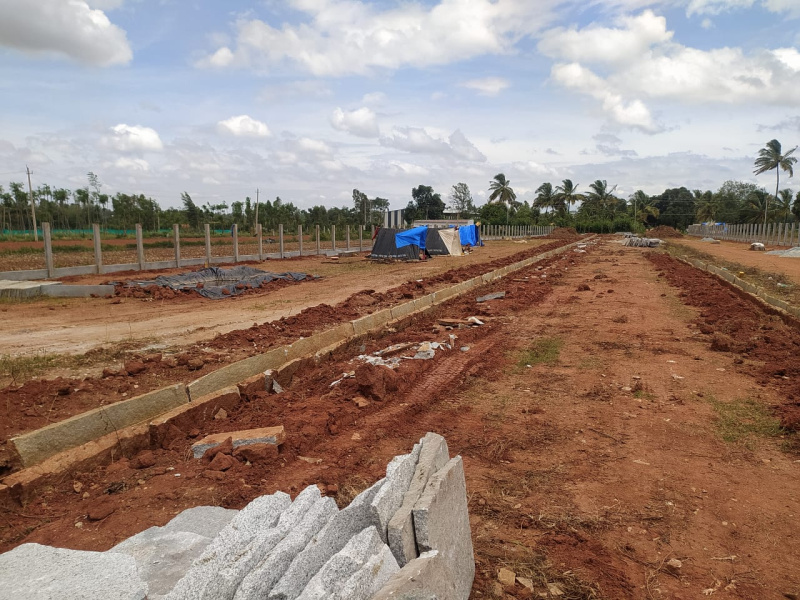  Residential Plot 880 Sq.ft. for Sale in Doddaballapur Road, Bangalore