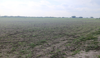  Industrial Land for Sale in Amathur, Virudhunagar