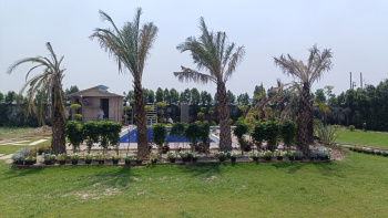  Residential Plot for Sale in Solra, Palwal