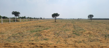  Residential Plot for Sale in Nanguneri, Tirunelveli